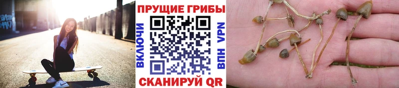 Галлюциногенные грибы прущие грибы  купить наркоту  Ахтырский 